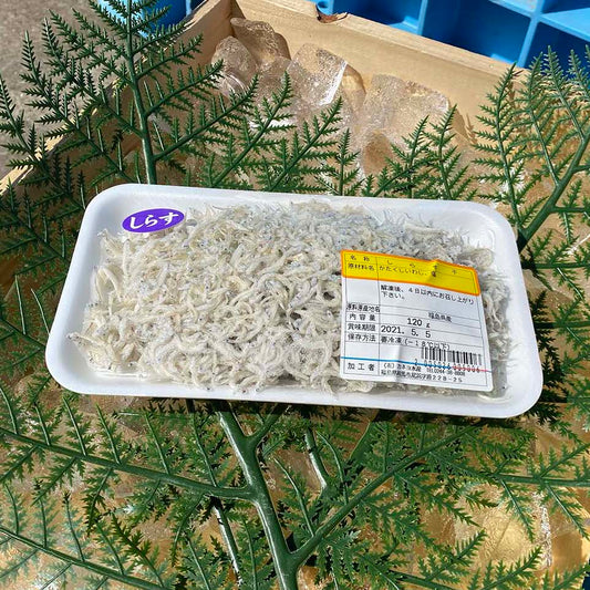 釜揚げしらす